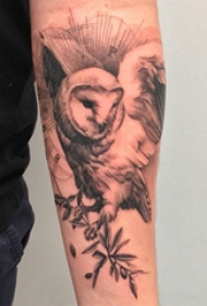 纹身猫头鹰 男生手臂上植物和猫头鹰纹身图片