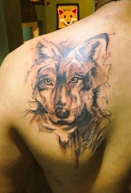 狼头纹身 男生肩上素描的狼头纹身图片