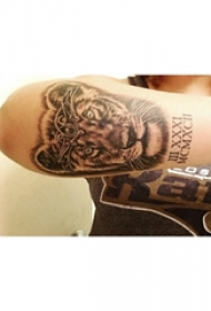 手臂纹身图片 女生手臂上英文和老虎纹身图片