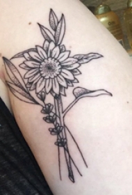 黑灰写实纹身 男生大臂上小清新植物纹身图片
