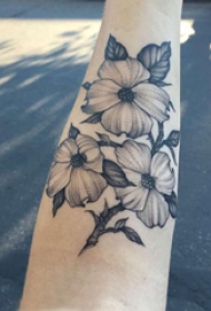 手臂纹身图片 女生手臂上黑色的花朵纹身图片
