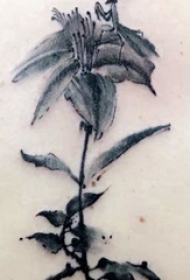 纹身后背女 女生后背上黑色的花朵纹身图片