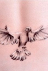 女生后腰纹身 女生后腰上黑色的鸽子纹身图片