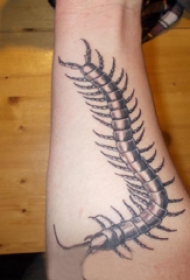 蝎子纹身 男生手臂上蝎子纹身图片