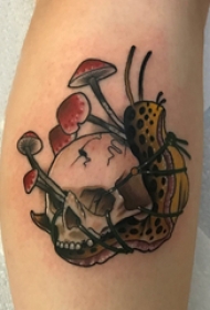 骷髅纹身 女生小腿上蘑菇和骷髅纹身图片