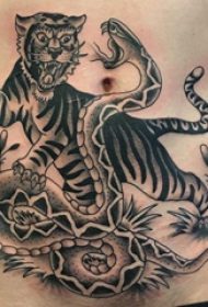 腹部纹身 男生腹部蛇和老虎纹身图片