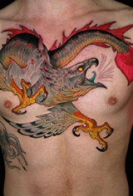 纹身胸部男 男生胸部勇猛的老鹰纹身图片
