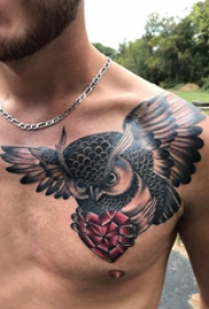 胸部纹身男 男生胸部钻石和猫头鹰纹身图片