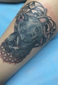 手臂纹身图片 男生手臂上植物和小狗纹身图片