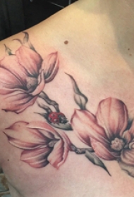 肩部纹身图案 女生肩部彩色的木兰花纹身图片