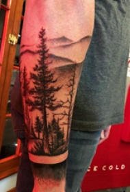 植物纹身 男生手臂上高大的松树纹身图片
