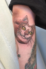 猫咪纹身男 男生手臂上彩色的猫咪纹身图片