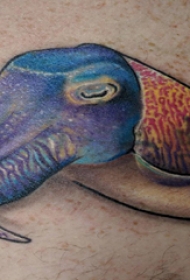 百乐动物纹身  男生腿上彩绘的百乐动物纹身图片
