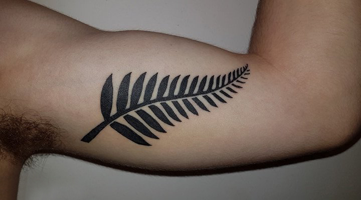点击大图看下一张：植物纹身 男生手臂上黑色的植物纹身图片