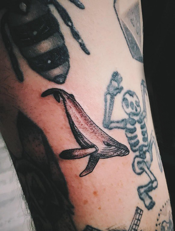 点击大图看下一张：鲸鱼纹身 男生手臂上黑色的鲸鱼纹身图片