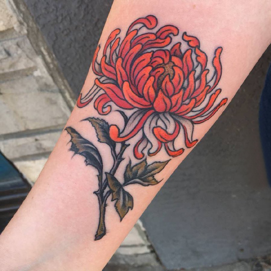 点击大图看下一张：纹身菊花图案 女生手臂上彩色的菊花纹身图片