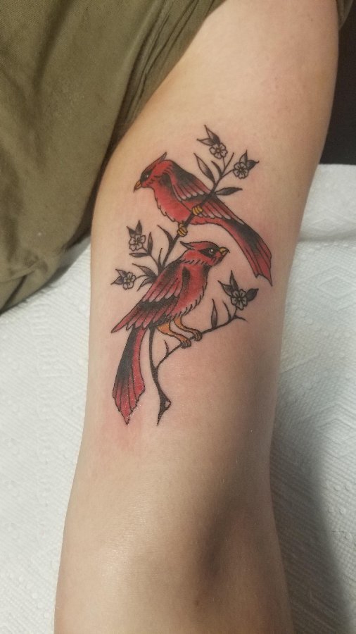 点击大图看下一张：大臂纹身图 女生大臂上植物和鸟纹身图片