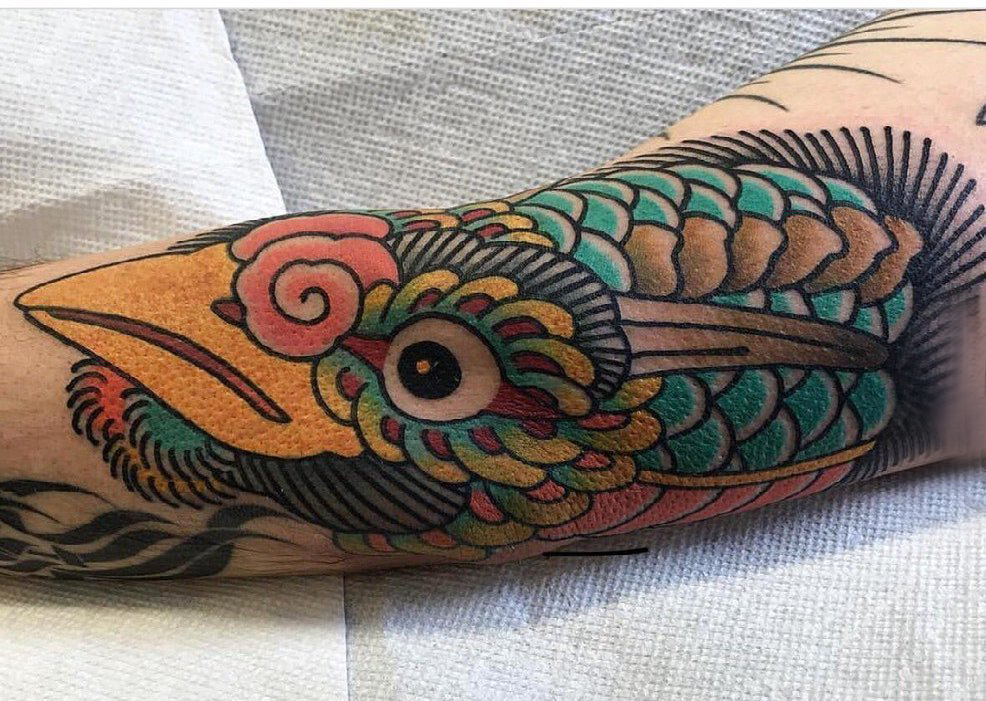 点击大图看下一张：纹身鸟  男生小臂上彩色的鸟纹身图片