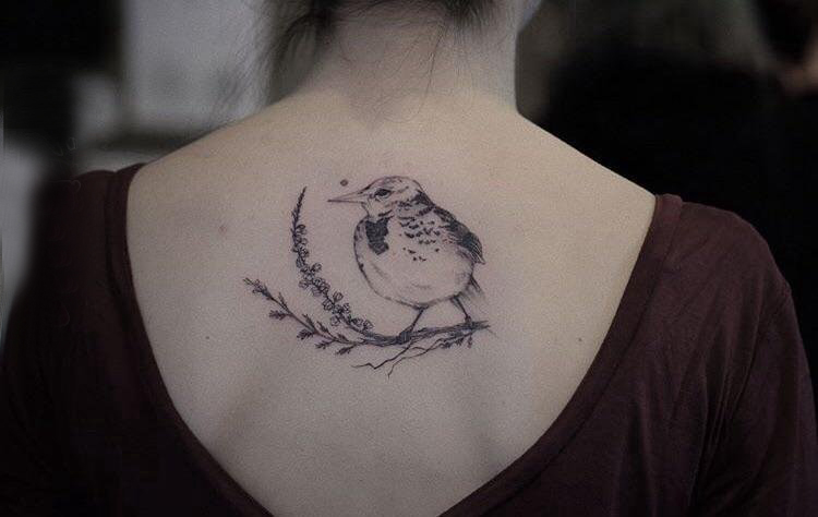 点击大图看下一张：纹身鸟  女生后背上鸟和植物纹身图片
