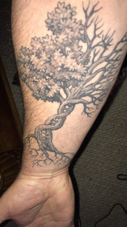 点击大图看下一张：纹身树枝  男生手臂上黑灰的树纹身图片