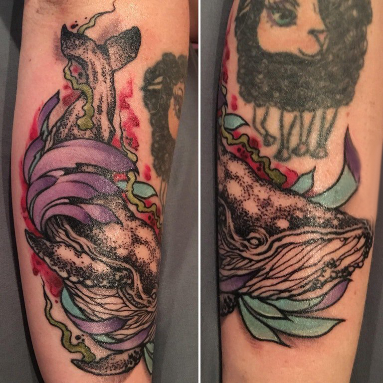 点击大图看下一张：百乐动物纹身 男生手臂上彩色的鲸鱼纹身图片