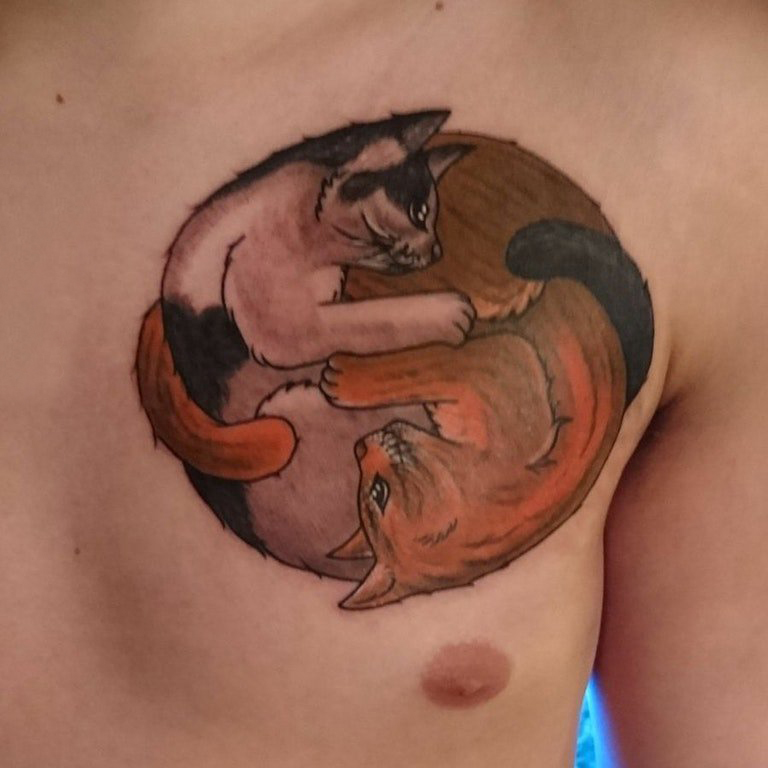 点击大图看下一张：小猫咪纹身   男生胸上彩绘的小猫咪纹身图片