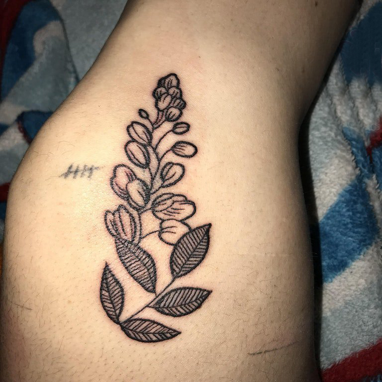 点击大图看下一张：植物纹身   女生大腿上黑灰的植物纹身图片