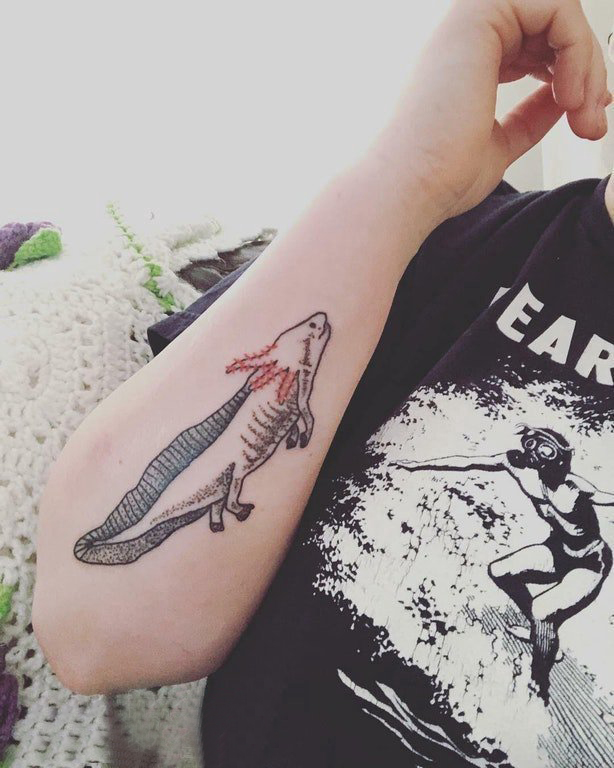 点击大图看下一张：百乐动物纹身 女生手臂上彩色的大鲵纹身图片