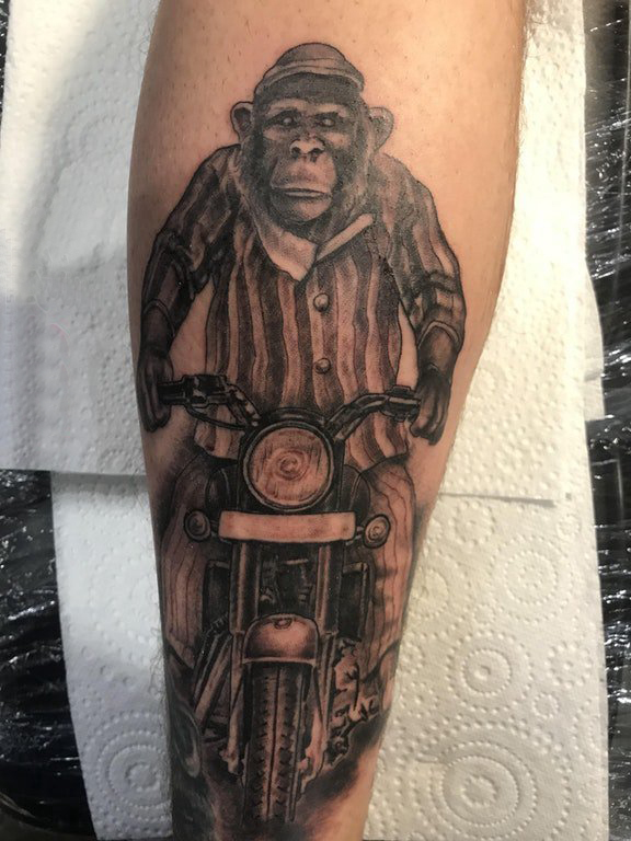 点击大图看下一张：纹身猴子  男生手臂上黑灰的猴子纹身图片