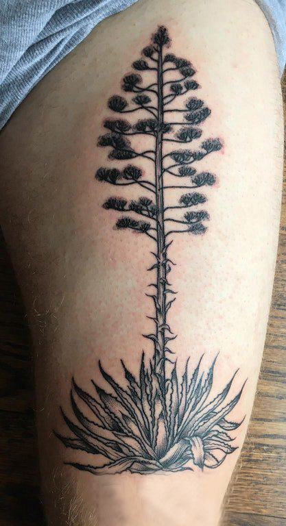 点击大图看下一张：大腿纹身男 男生大腿上黑色的植物纹身图片