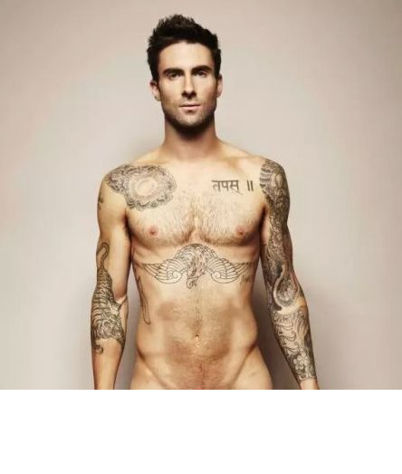 点击大图看下一张：国际纹身明星  Adam Levine胸下黑色的老鹰纹身图片