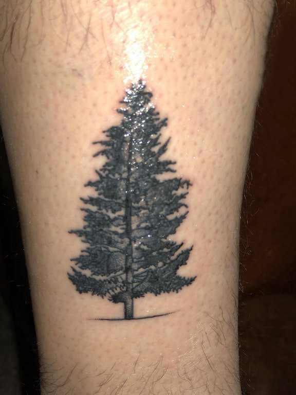 点击大图看下一张：生命树纹身素材 男生小腿上黑色的松树纹身图片