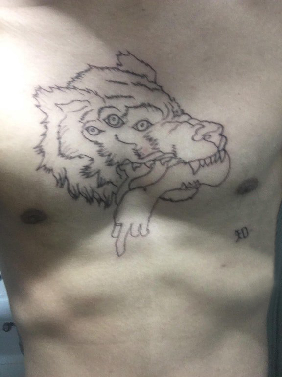 点击大图看下一张：滴血狼头纹身  男生胸上极简的狼头纹身图片