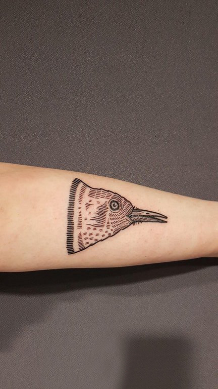 点击大图看下一张：纹身鸟  女生手臂上创意的鸟纹身图片