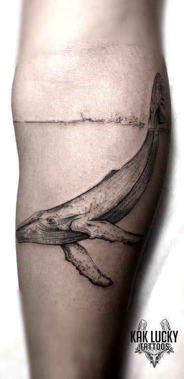 点击大图看下一张：纹身鲸鱼   男生手臂上创意的鲸鱼纹身图片