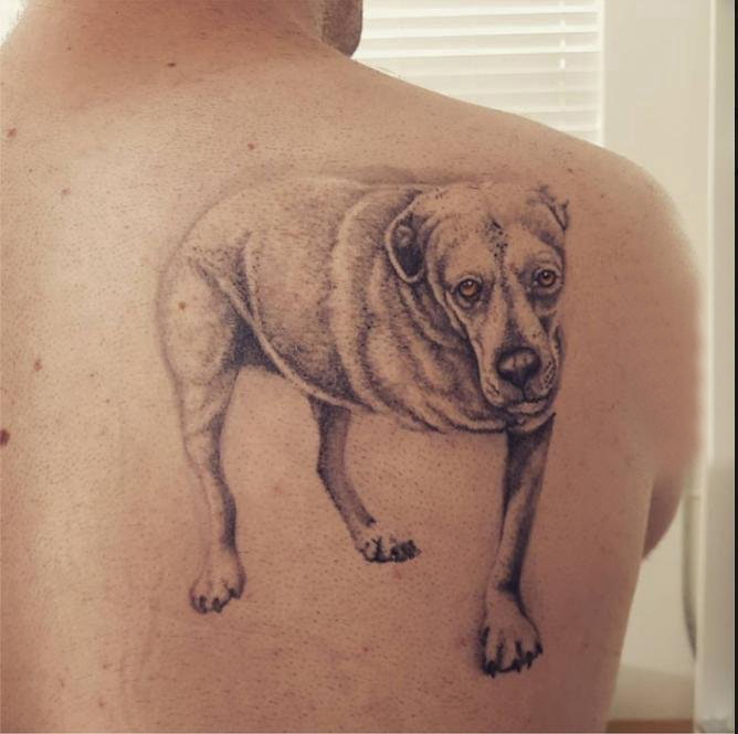 点击大图看下一张：小狗纹身图片  男生后背上黑灰的小狗纹身图片