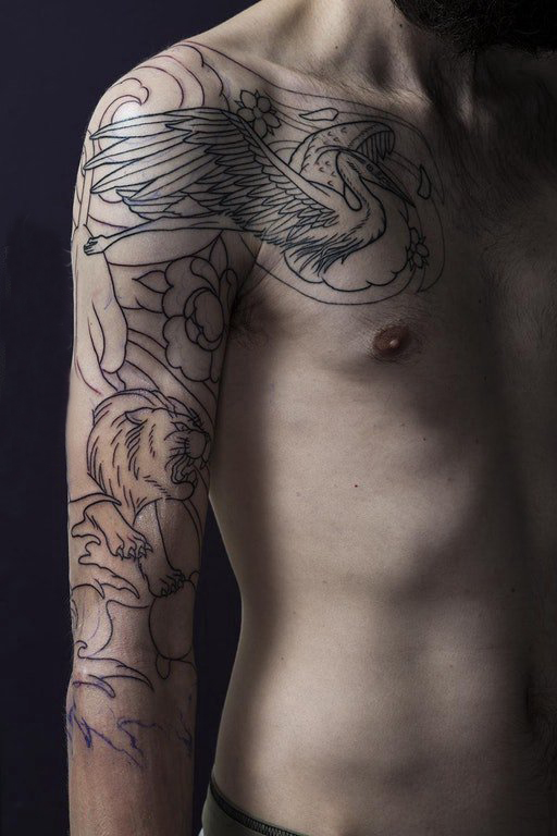 点击大图看下一张：百乐动物纹身  男生手臂上简约的狮子和鸟纹身图片