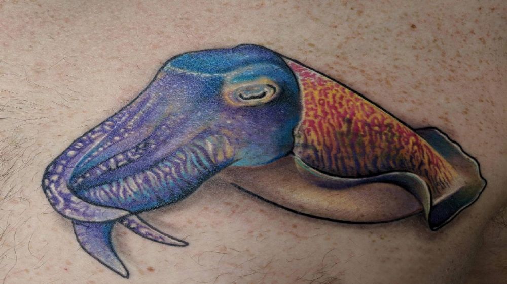 点击大图看下一张：百乐动物纹身  男生腿上彩绘的百乐动物纹身图片