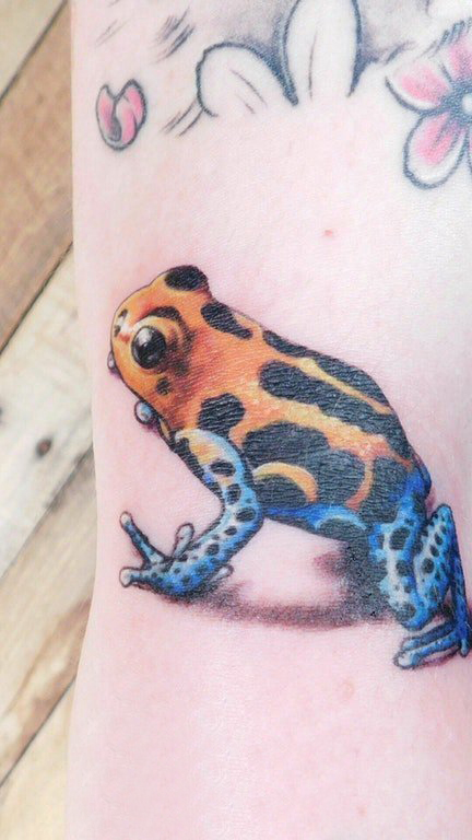 点击大图看下一张：百乐动物纹身  女生手臂上彩绘的动物纹身图片