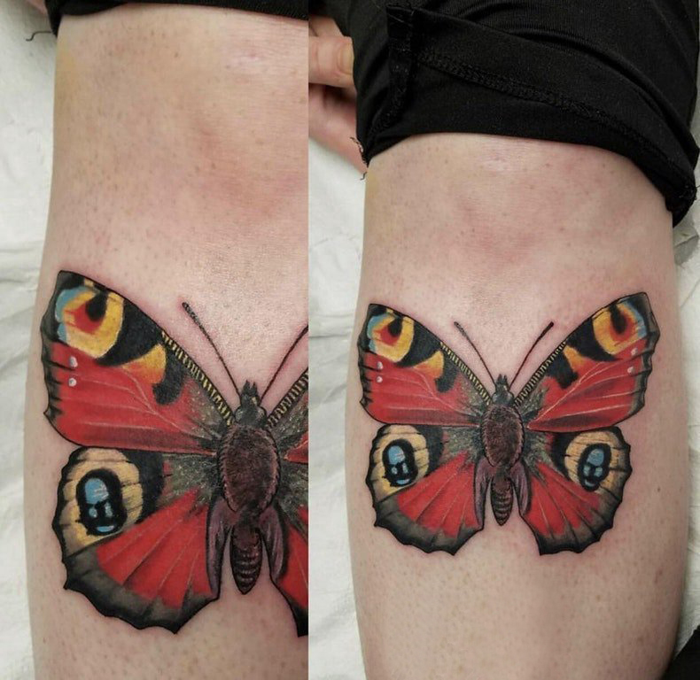 点击大图看下一张：小动物纹身 男生小腿上彩色的蝴蝶纹身图片