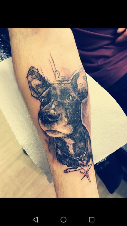 点击大图看下一张：狗的纹身图案  男生小臂上黑灰色的小狗纹身图片