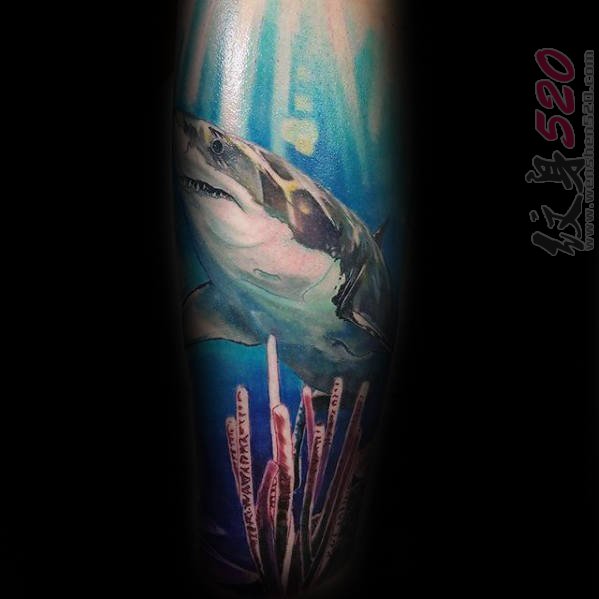 点击大图看下一张：鲨鱼纹身图  凶猛霸气的鲨鱼纹身图案