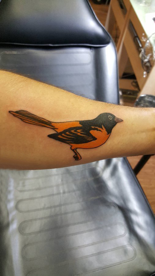 点击大图看下一张：纹身鸟 男生手臂上彩色的小鸟纹身图片