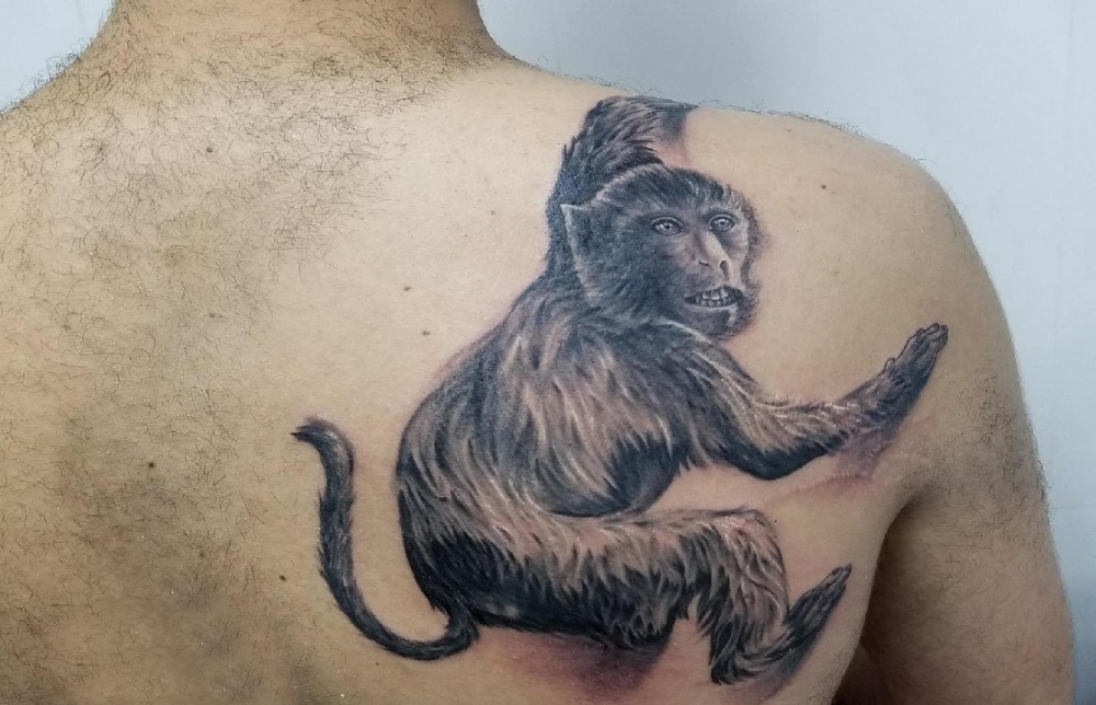 点击大图看下一张：纹身猴子 男生后背上黑色的猴子纹身图片