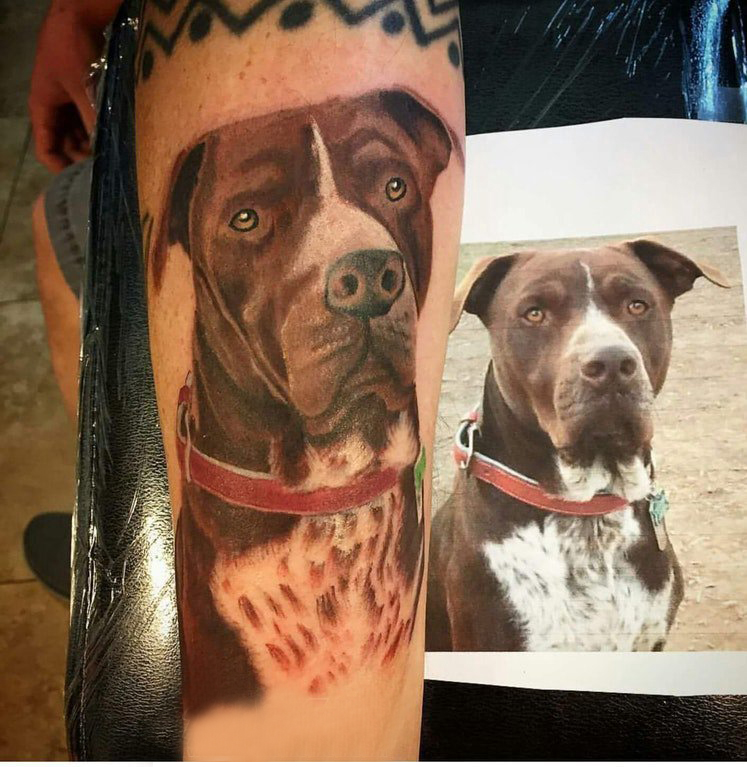 点击大图看下一张：小狗纹身图片  男生手臂上彩绘的小狗纹身图片