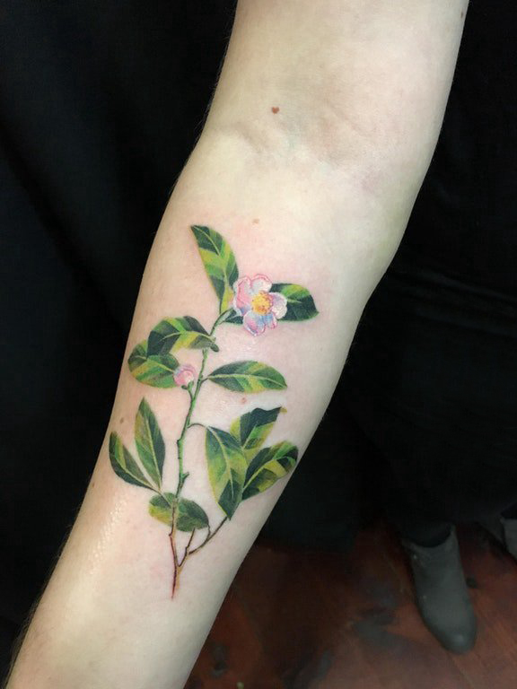 点击大图看下一张：小清新 纹身  女生手臂上彩绘的植物纹身图片