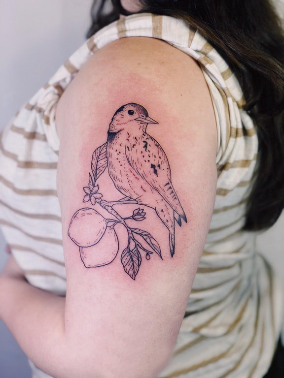 点击大图看下一张：双大臂纹身 女生大臂上植物和小鸟纹身图片