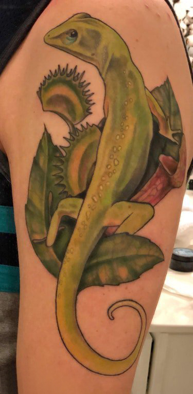 点击大图看下一张：蜥蜴纹身图案 男生大臂上植物和蜥蜴纹身图片
