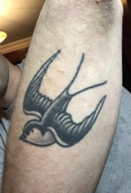 手臂纹身素材 男生手臂上黑色的燕子纹身图片