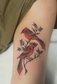 大臂纹身图 女生大臂上植物和鸟纹身图片
